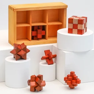 Wooden 6-in-1 Puzzle Brain Teaser Set