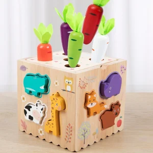 Wooden Activity Cube Toy