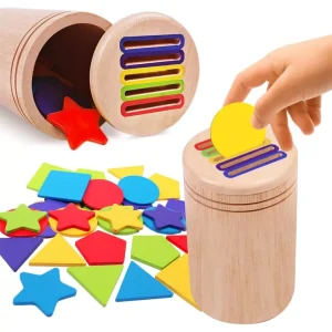 Wooden Color Sorting Toy