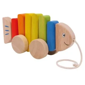 Wooden Pull Along Fish Toy