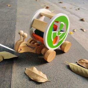 Wooden Snail Pull-Along Shape Sorter
